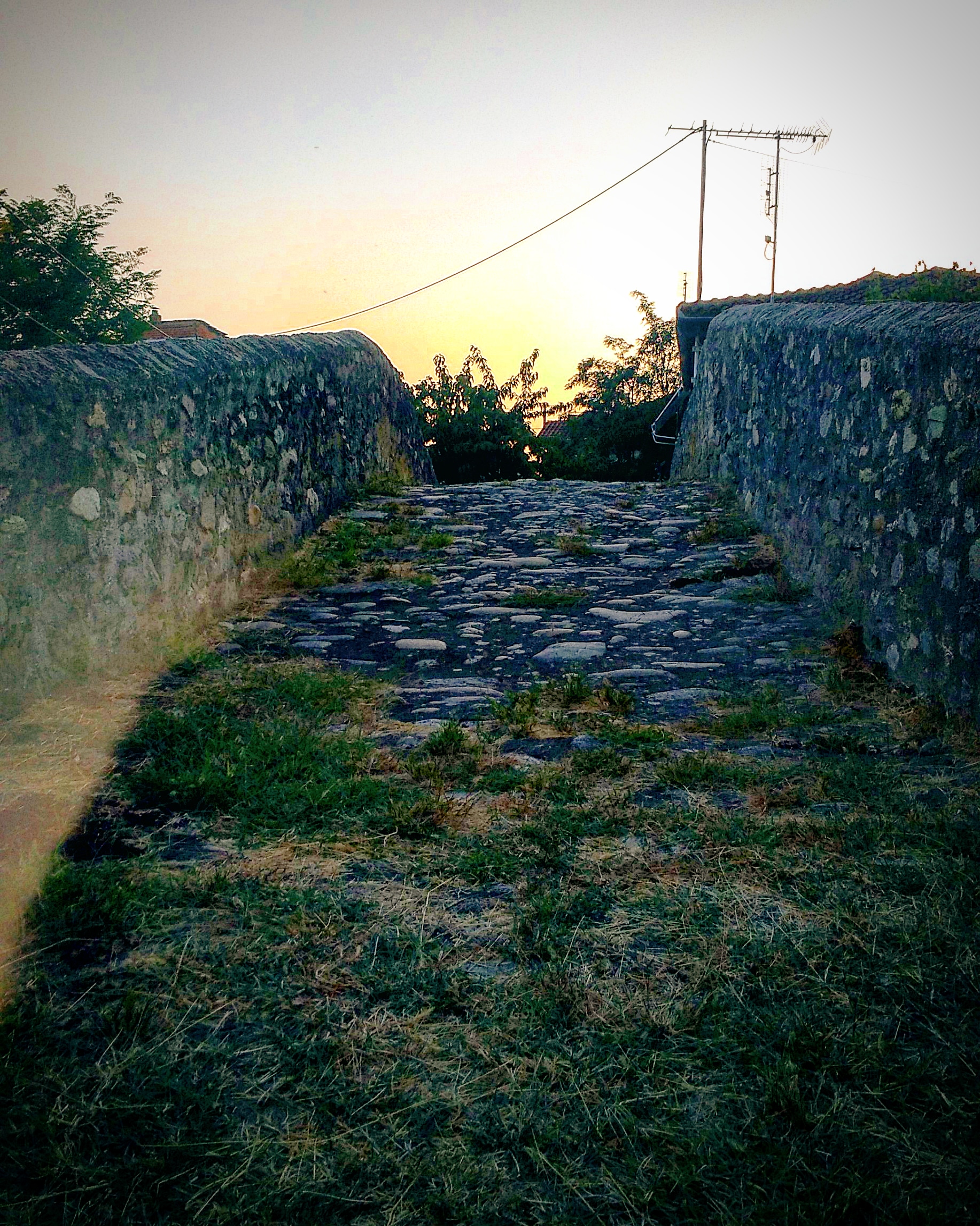 IMG_20190917_195634_463